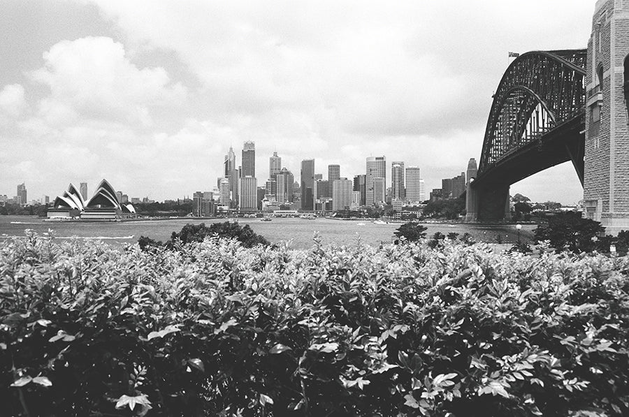 Sydney-WB-008-031