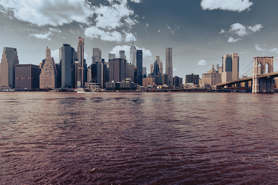 New York City-CL-042