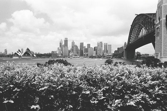 Sydney-WB-008-031