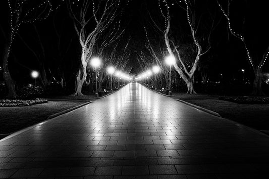 Sydney-WB-060-075