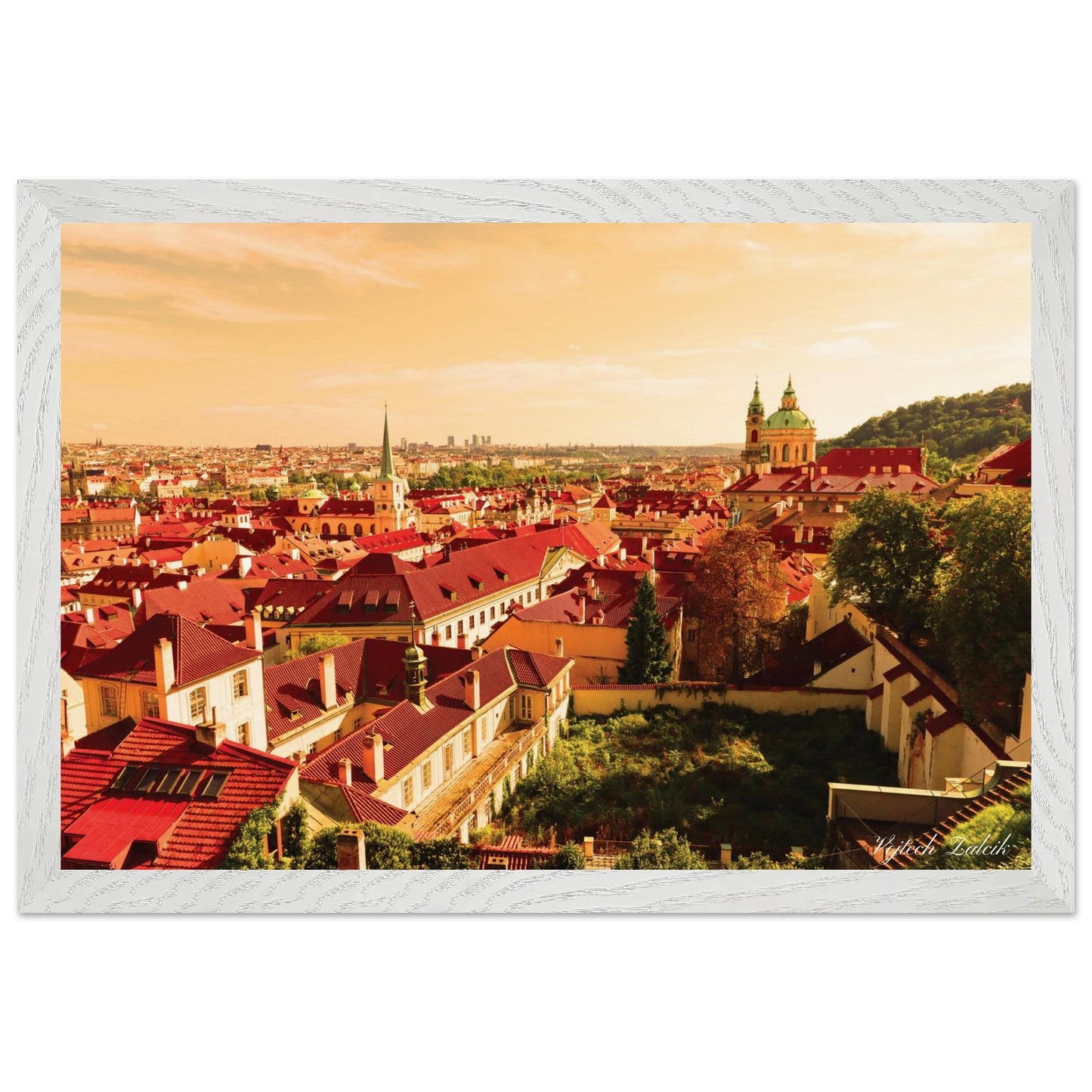 91f9d81a-bd88-48a7-ab01-ee5b1fbe3a2e