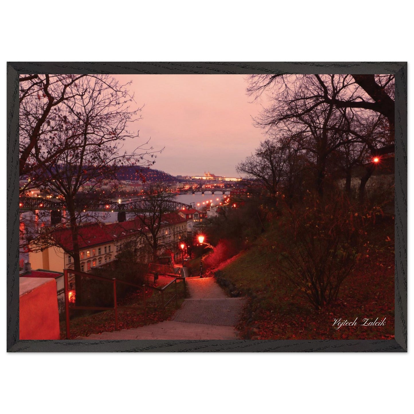 ce1005ae-6f8a-4942-802d-da7fff943dc9