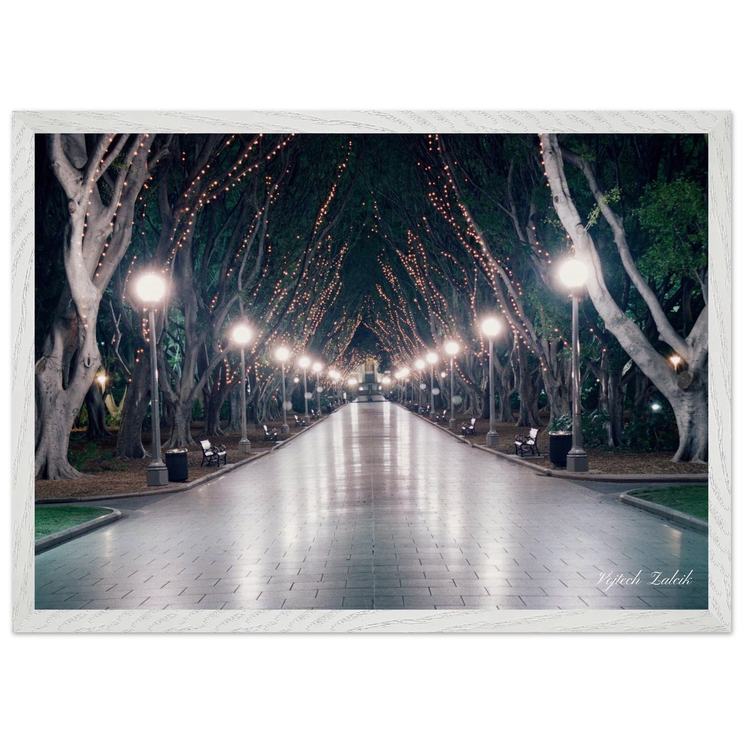 ec890485-519d-4271-a6e1-cd867058dbcd